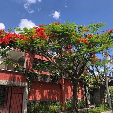 Hotel Arbol De Fuego ซานซัลวาดอร์ ภายนอก รูปภาพ