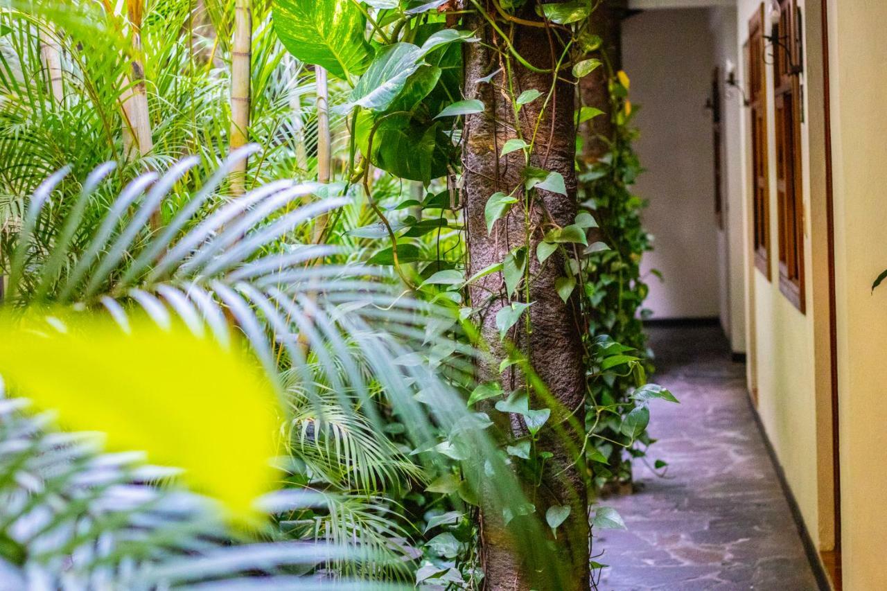 Hotel Arbol De Fuego ซานซัลวาดอร์ ภายนอก รูปภาพ