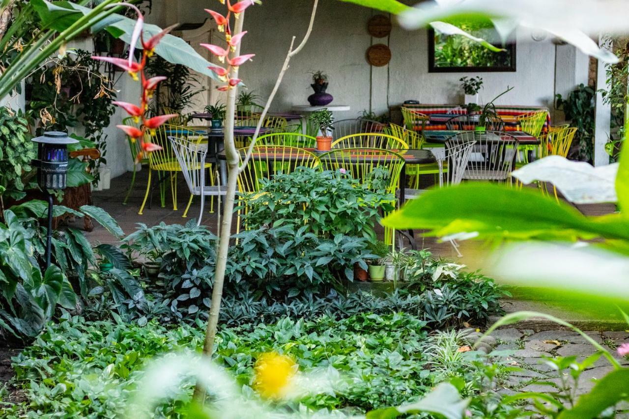 Hotel Arbol De Fuego ซานซัลวาดอร์ ภายนอก รูปภาพ