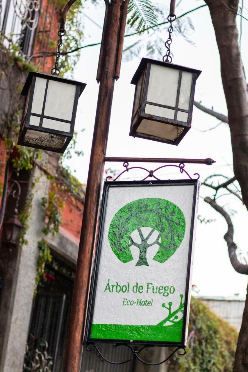 Hotel Arbol De Fuego ซานซัลวาดอร์ ภายนอก รูปภาพ