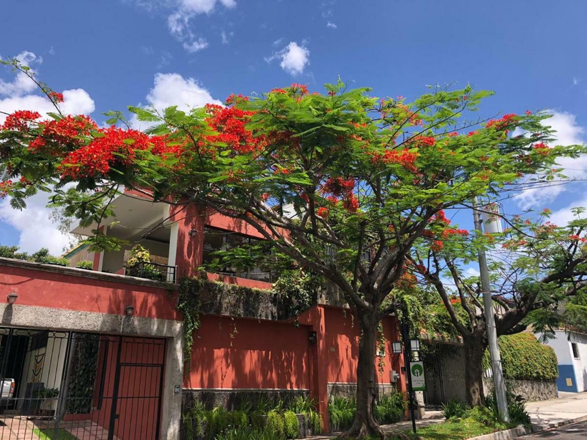 Hotel Arbol De Fuego ซานซัลวาดอร์ ภายนอก รูปภาพ